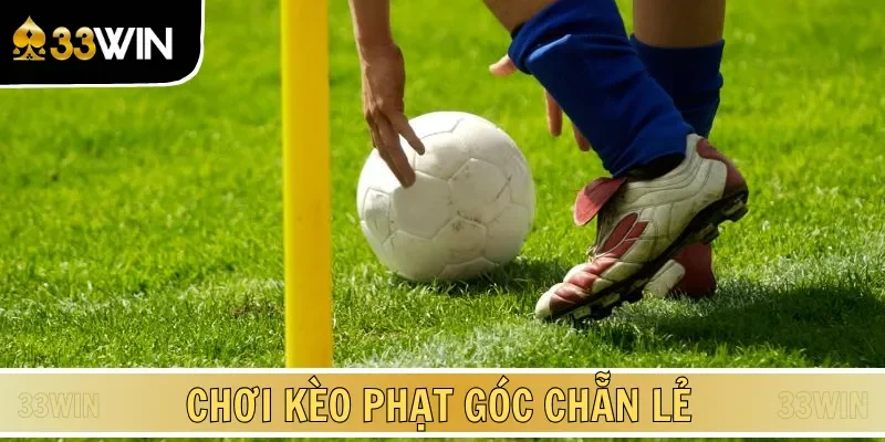 3 mẹo cược hay ho giúp dự đoán chính xác, làm giàu cực đã