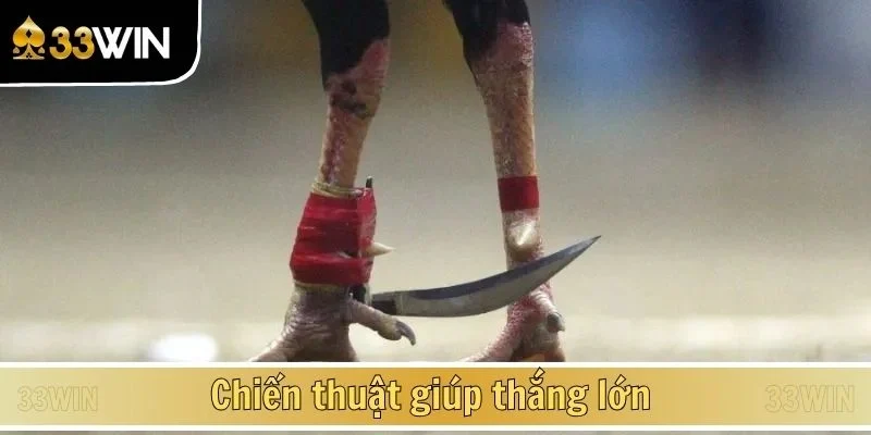 Chiến thuật giúp thắng lớn