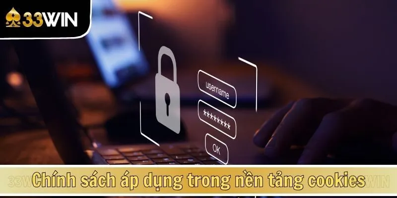 Chính sách áp dụng trong nền tảng cookies