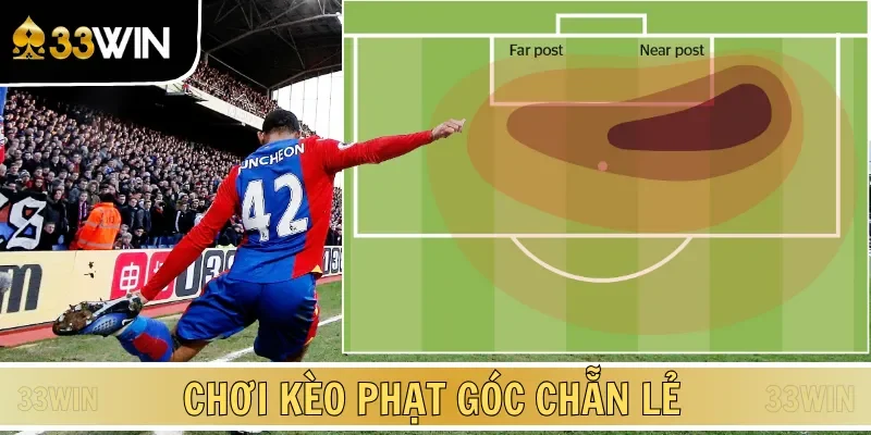 Chơi kèo corners chẵn lẻ để chiến thắng chỉ sau 1 đêm