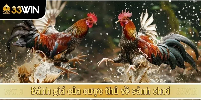 Đánh giá của cược thủ về sảnh chơi