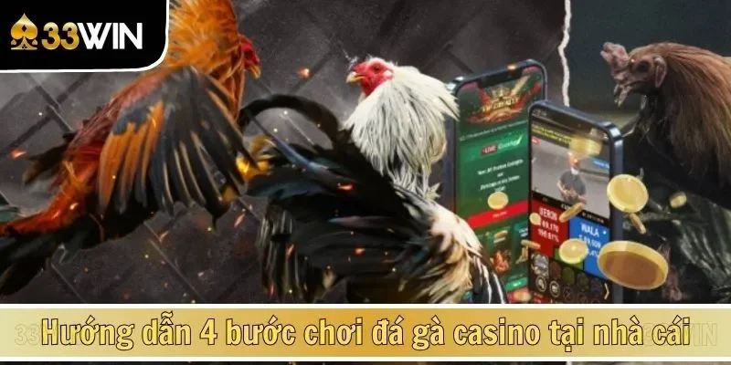 Hướng dẫn 4 bước chơi đá gà casino tại nhà cái