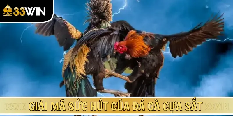 Không khó hiểu vì sao loại hình này lại nổi bật đến thế