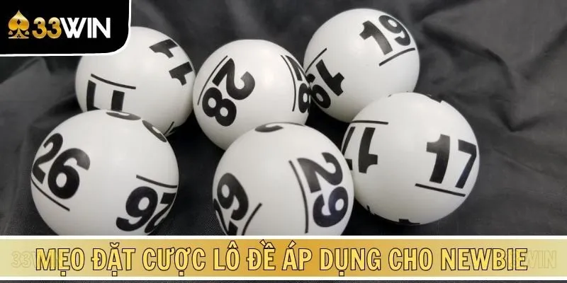 Mẹo đặt cược lô đề áp dụng cho thành viên mới