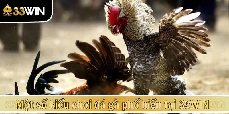 Một số kiểu chơi đá gà phổ biến tại 33WIN