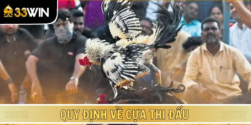 Nguyên tắc đối với trận đấu chọi kê có sử dụng cựa